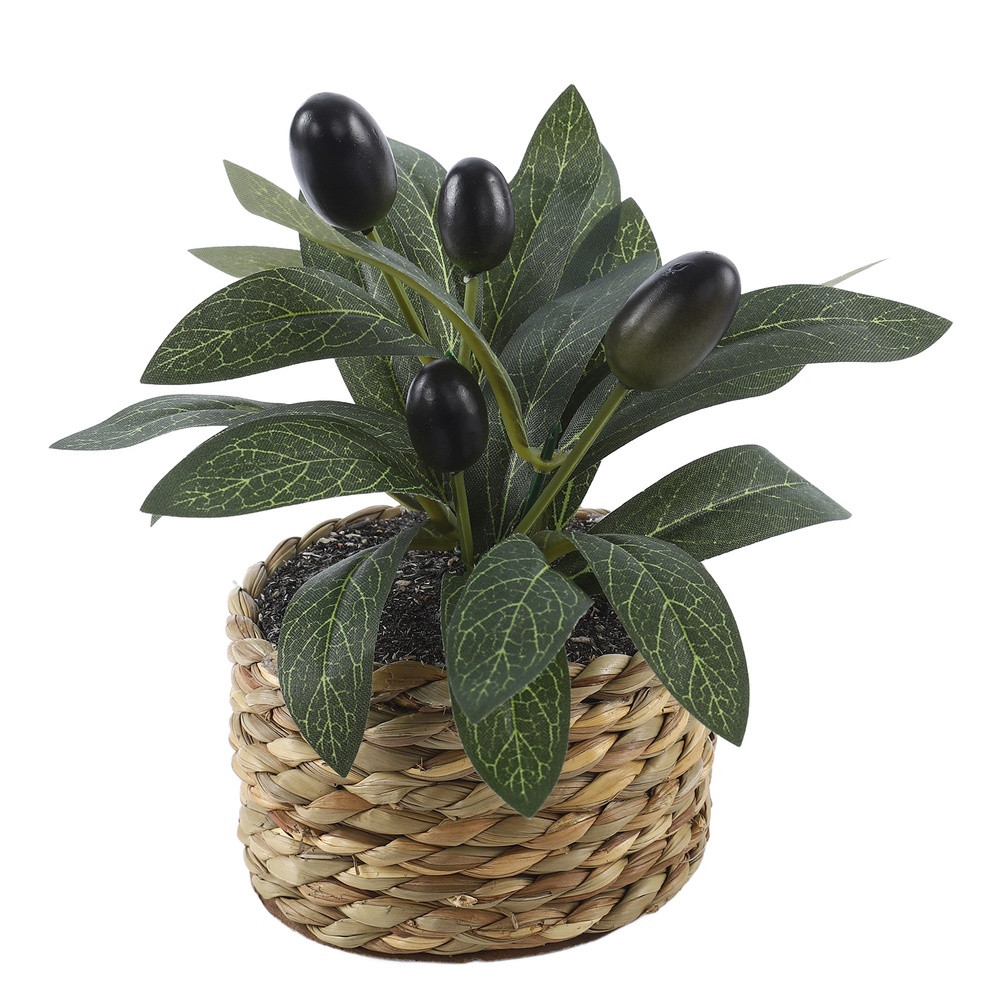 Plantas Artificiais, Oliveira  - Office Furniture Brands avaliação e preço